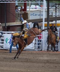 Calgary Stampede-1709